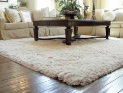Cozy Living Room Area Rugs