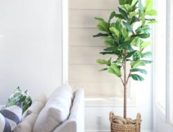 Living Room Plants Fake