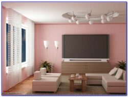 Living Room Hall Asian Paints