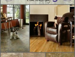 Best Flooring For Living Room With Dogs