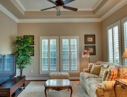 Tray Ceiling Ideas Living Room