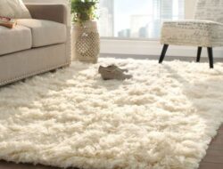 Plush Living Room Carpet