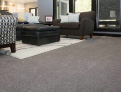 Gray Carpet For Living Room