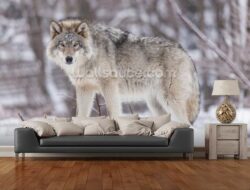 Wolf In Your Living Room