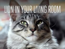 Watch The Lion In Your Living Room Online Free