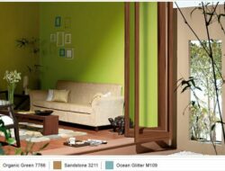 Asian Paints Best Colour For Living Room